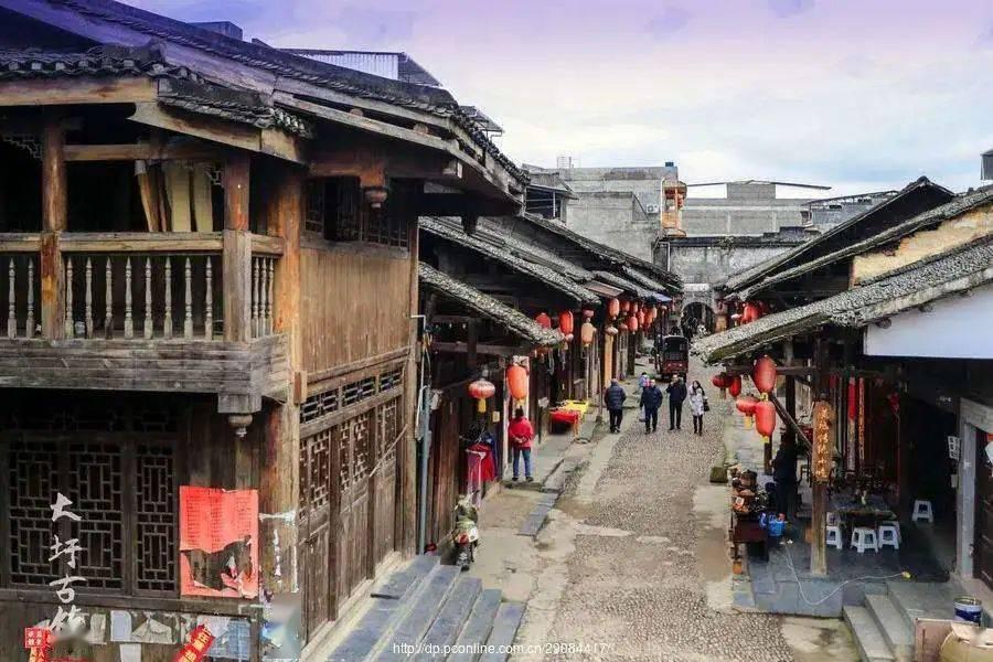 拯救小松鼠